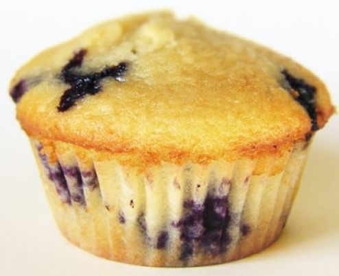 Low Carb, High Fiber Coconut Blueberry Protein Muffins